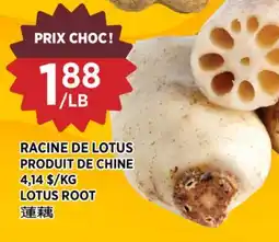 Kim Phat LOTUS ROOT offer