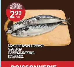 Kim Phat BOSTON MACKEREL offer