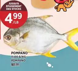 Kim Phat POMPANO offer