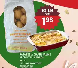 Kim Phat YELLOW POTATOES offer