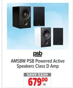 2001 Audio Video AM5BW PSB Powered Active Speakers Class D Amp offer
