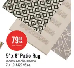 The Brick 5' x 8' Patio Rug offer