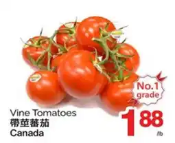 T&T Supermarket VINE TOMATOES offer