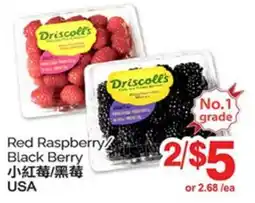 T&T Supermarket RED RASPBERRY/ BLACK BERRY offer
