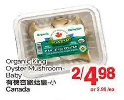 T&T Supermarket ORGANIC KING OYSTER MUSHROOM BABY offer