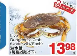 T&T Supermarket LIVE DUNGENESS CRAB, (Under 2lb/Each) offer