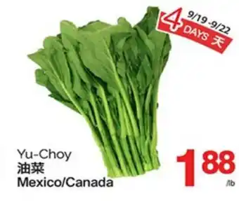 T&T Supermarket YU-CHOY offer