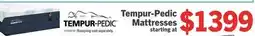The Brick Tempur-Pedic Mattresses offer