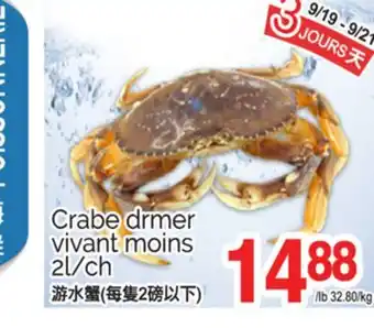 T&T Supermarket CRABE DRMER VIVANT MOINS, 2L/CH offer