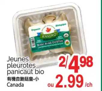 T&T Supermarket JEUNES PLEUROTES PANICAUT BIO offer