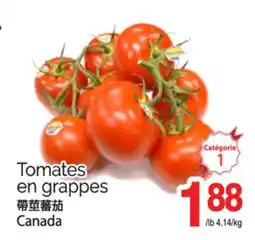 T&T Supermarket TOMATES EN GRAPPES offer