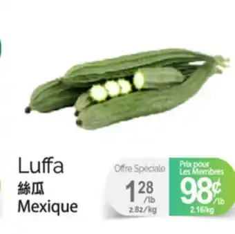 T&T Supermarket LUFFA offer