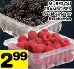 Supermarché PA Blackberries or Raspberries offer