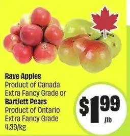 FreshCo Rave apples or bartlett pears offer