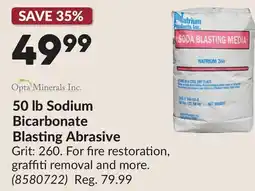 Princess Auto 50 lb Sodium Bicarbonate Blasting Abrasive offer