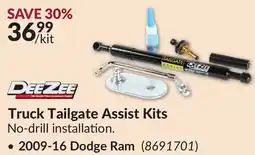 Princess Auto Truck Tailgate Assist Kits offer