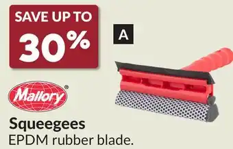 Princess Auto Squeegees offer