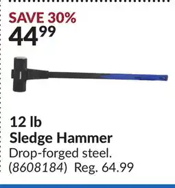 Princess Auto 12 lb Sledge Hammer offer