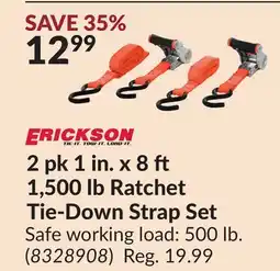 Princess Auto 2 pk 1 in. x 8 1,500 lb Ratchet Tie-Down Strap Set offer