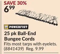 Princess Auto 25 pk Ball-End Bungee Cords offer