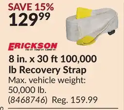 Princess Auto 8 in. x 30 ft100,000 lb Recovery Strap offer