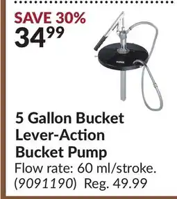 Princess Auto 5 Gallon Bucket Lever-Action Bucket Pump offer