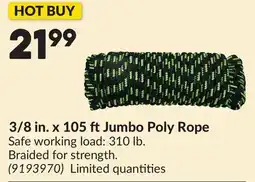 Princess Auto TUFF ROPE 3/8 in. x 105 ftJumbo Poly Rope offer