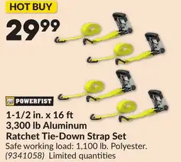 Princess Auto 1-1/2 in. x 16 3,300 lb Aluminum Ratchet Tie-Down Strap Set offer