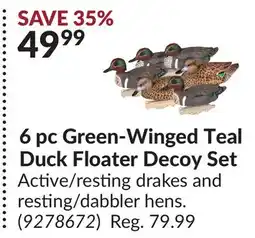 Princess Auto 6 pc Green-Winged Teal Duck Floater Decoy Set offer
