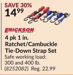 Princess Auto 4 pk 1 in. Ratchet/Cambuckle Tie-Down Strap Set offer