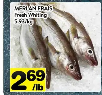 Supermarché PA MERLAN FRAIS | Fresh Whiting offer