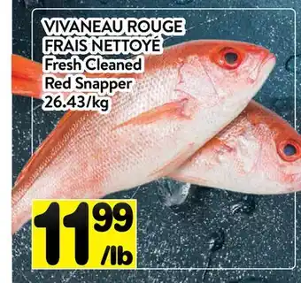 Supermarché PA VIVANEAU ROUGE FRAIS NETTOYÉ | Fresh Cleaned Red Snapper offer