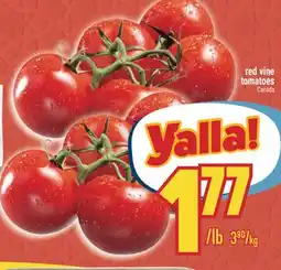 Marché Adonis Red vine tomatoes offer