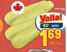 Marché Adonis Baladi squash offer