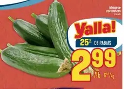 Marché Adonis Lebanese cucumbers offer