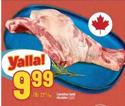 Marché Adonis Canadian lamb shoulder halal offer
