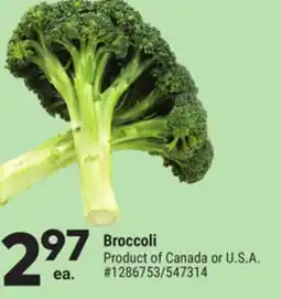Giant Tiger Broccoli offer