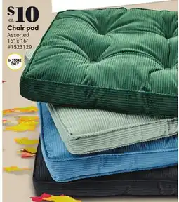 Giant Tiger Chair pad offer