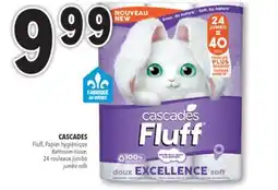 Familiprix CASCADES, Fluff, Bathroom tissue, 24 jumbo rolls or Tuff Enviro, Paper towels, 12 jumbo rolls offer