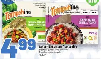 Metro TEMPEH BIOLOGIQUE TEMPEHINE | TEMPEHINE ORGANIC TEMPEH offer