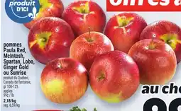 Metro POMMES PAULA RED, MCINTOSH, SPARTAN, LOBO, GINGER GOLD OU SUNRISE | APPLES offer