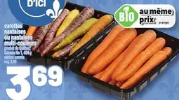 Metro CAROTTES NANTAISES OU NANTAISES MULTI-COULEURS | NANTES CARROTS offer