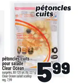 Metro PÉTONCLES CUITS POUR SALADE CLEAR OCEAN | CLEAR OCEAN SALAD SCALLOP offer