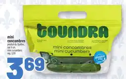 Metro MINI CONCOMBRES | MINI CUCUMBERS offer