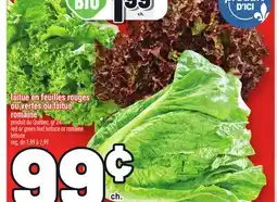 Metro LAITUE EN FEUILLES ROUGES OU VERTES OU LAITUE ROMAINE | RED OR GREEN LEAF LETTUCE ROMAINE LETTUCE offer