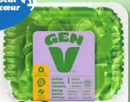 IGA LIVING BUTTER LETTUCE offer
