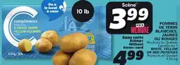 IGA WHITE, YELLOW OR RED POTATOES offer
