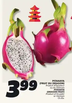 IGA PITAHAYA (DRAGON FRUIT) offer