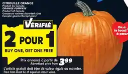 IGA ORANGE PUMPKIN offer