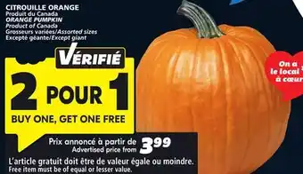 IGA ORANGE PUMPKIN offer